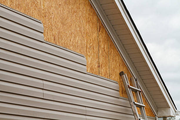 Affordable Siding Repair and Maintenance Services in Rugby, ND